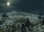 Sekiro:  Shadows Die Twice