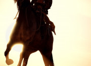 Assassin's Creed: Origins
