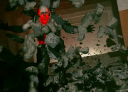 Control screenshot