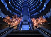 Mass Effect