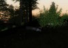Grand Theft Auto: San Andreas