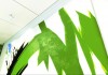 Mirror's Edge