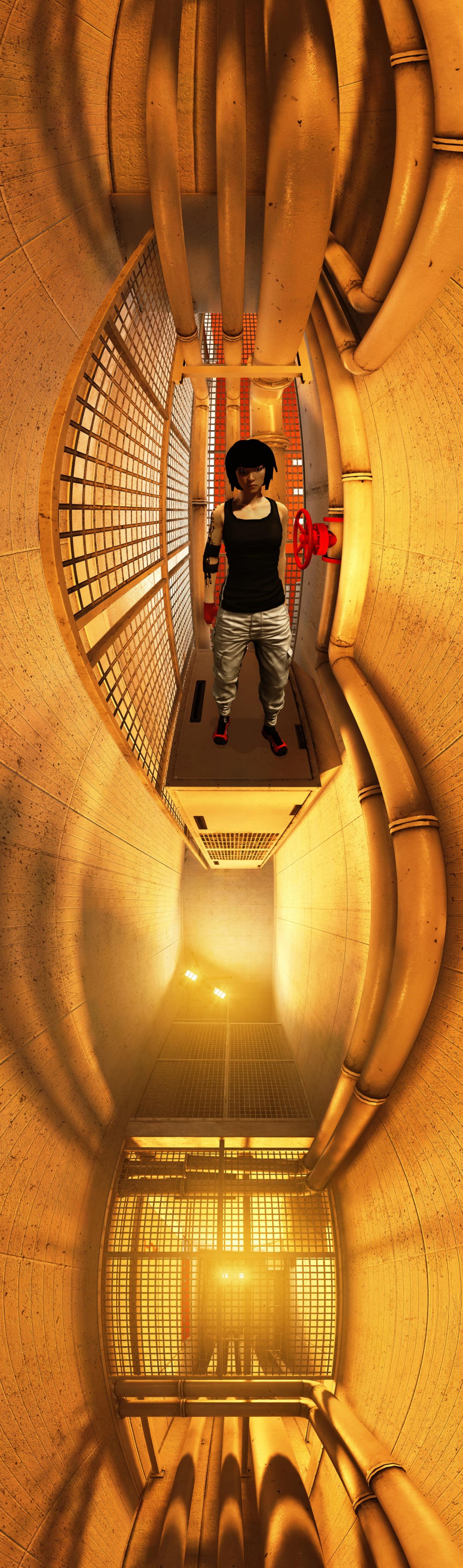 Mirror's Edge