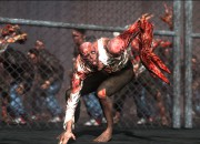Prototype screenshot