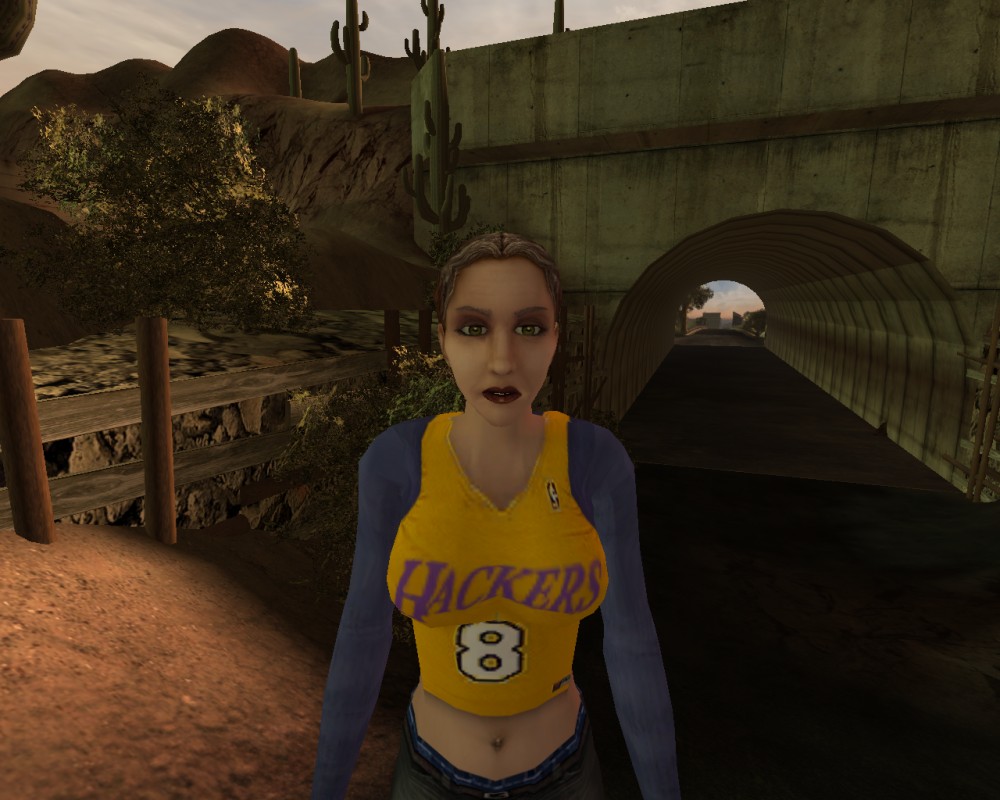Postal 2