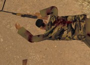 ARMA 2 screenshot