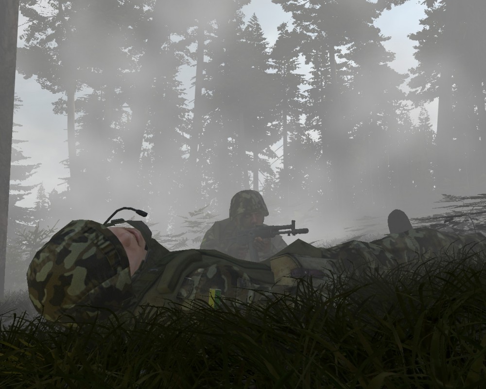 ARMA 2