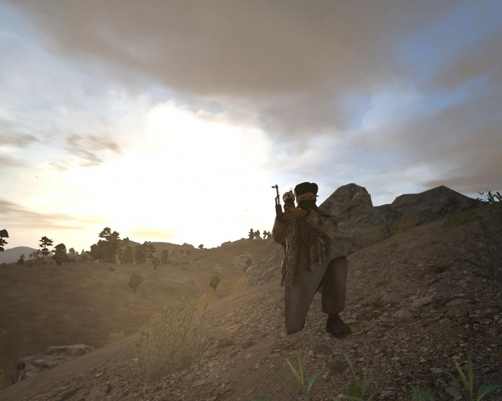 ARMA 2