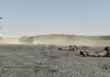 ARMA 2