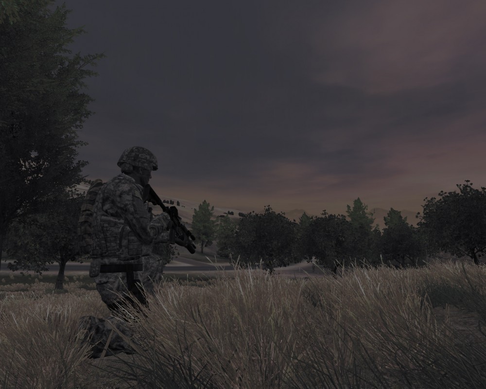 ARMA 2