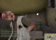 ARMA 2