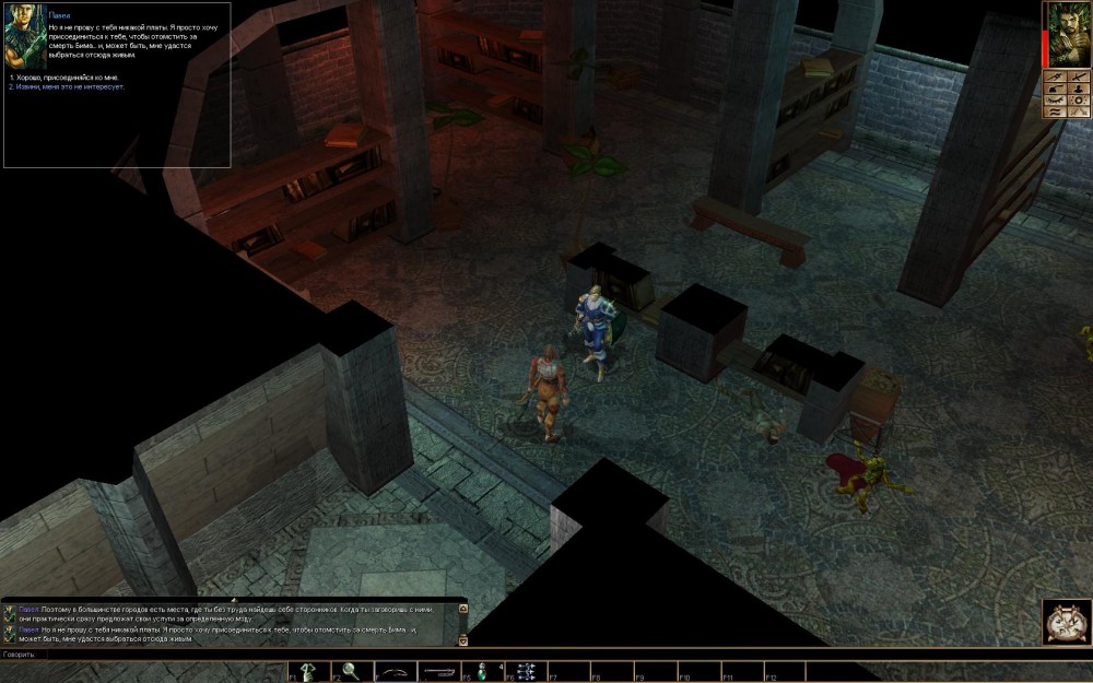 Neverwinter Nights