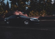 Need for Speed screenshot