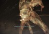 Mass Effect 2