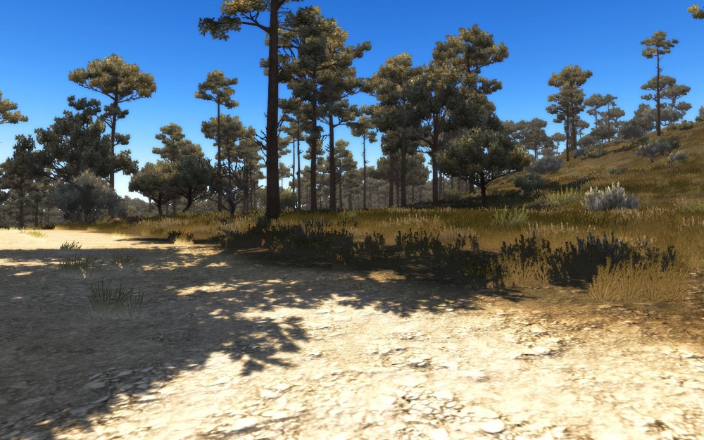Test Drive Unlimited 2