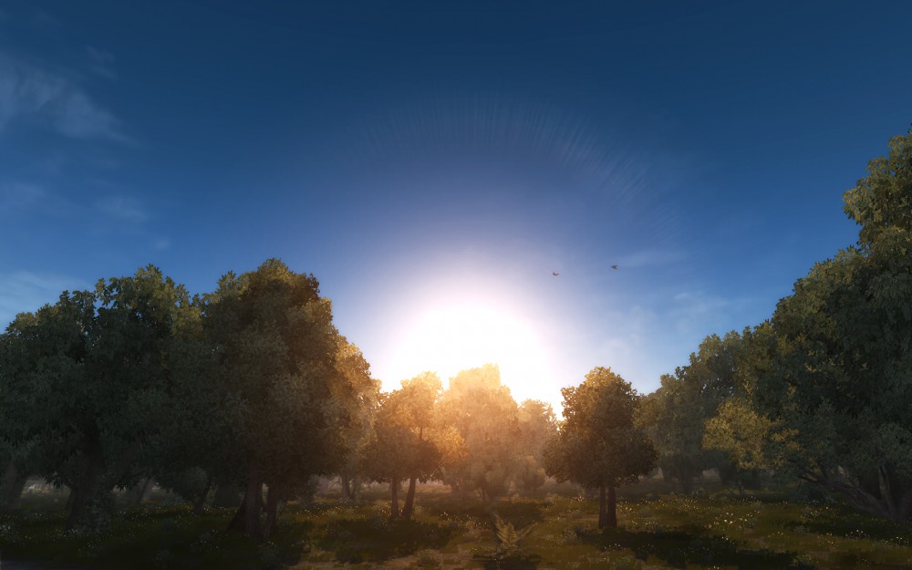 Test Drive Unlimited 2