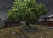 Test Drive Unlimited 2