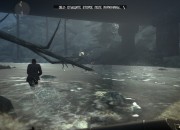 Call of Juarez: The Cartel