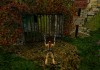 Tomb Raider III