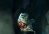 Alice: Madness Returns