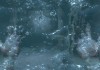 BioShock