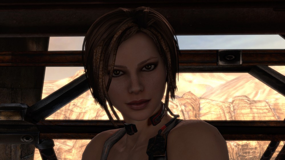Bulletstorm