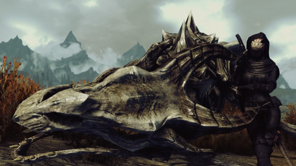 The Elder Scrolls V: Skyrim
