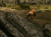 The Elder Scrolls V: Skyrim
