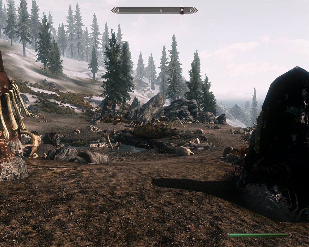 The Elder Scrolls V: Skyrim