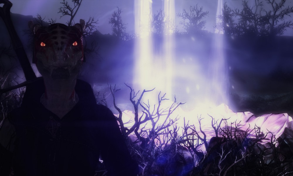 The Elder Scrolls V: Skyrim