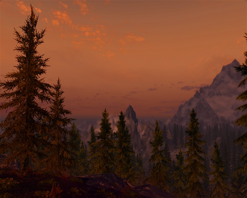 The Elder Scrolls V: Skyrim