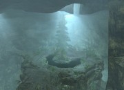 The Elder Scrolls V: Skyrim