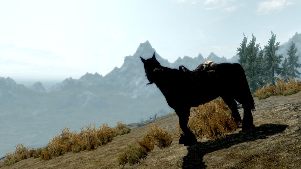 The Elder Scrolls V: Skyrim