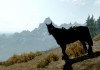 The Elder Scrolls V: Skyrim