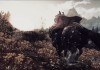 The Elder Scrolls V: Skyrim