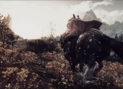 The Elder Scrolls V: Skyrim