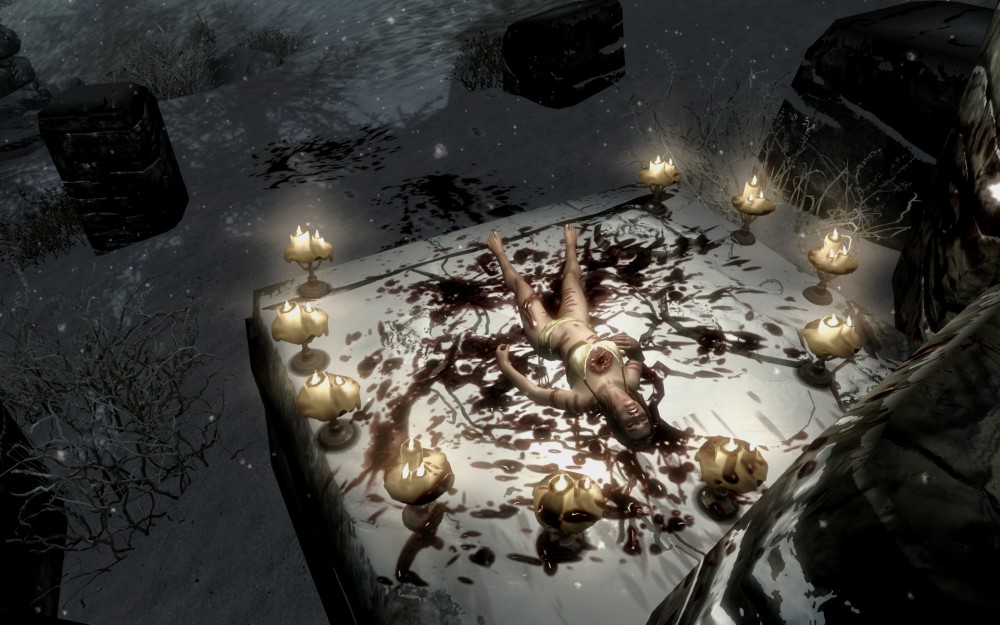 The Elder Scrolls V: Skyrim