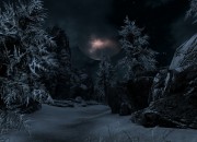 The Elder Scrolls V screenshot