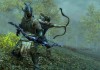 The Elder Scrolls V: Skyrim