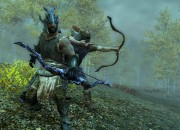 The Elder Scrolls V: Skyrim
