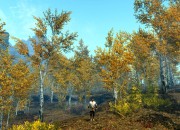 The Elder Scrolls V: Skyrim