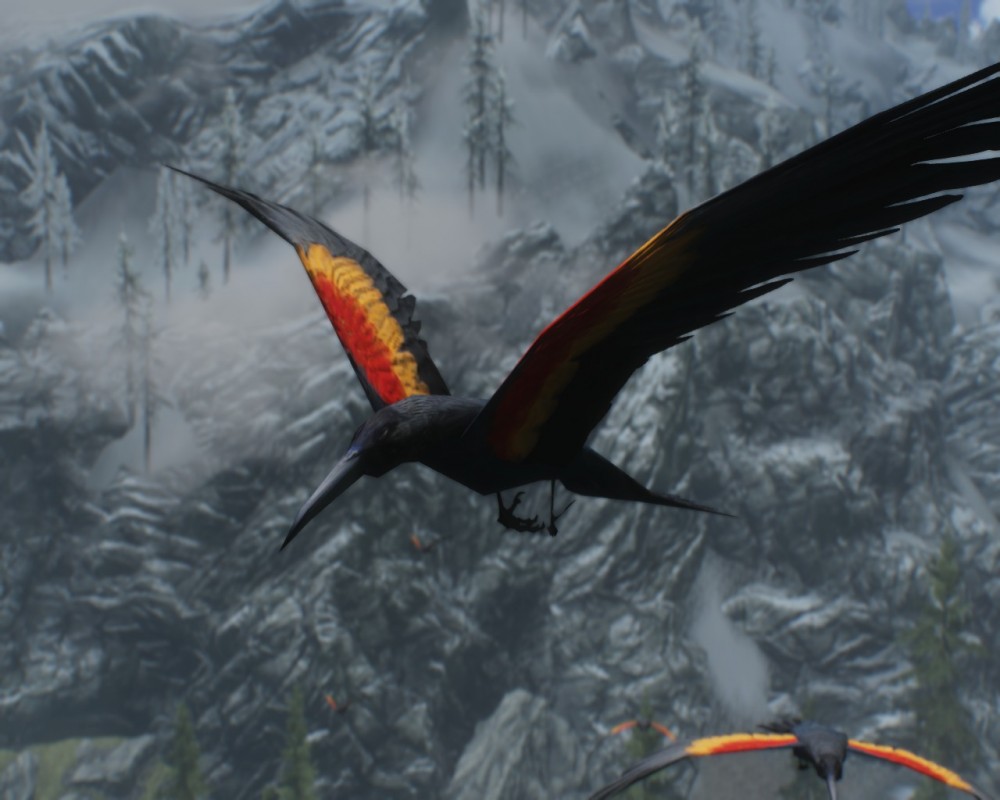 The Elder Scrolls V: Skyrim