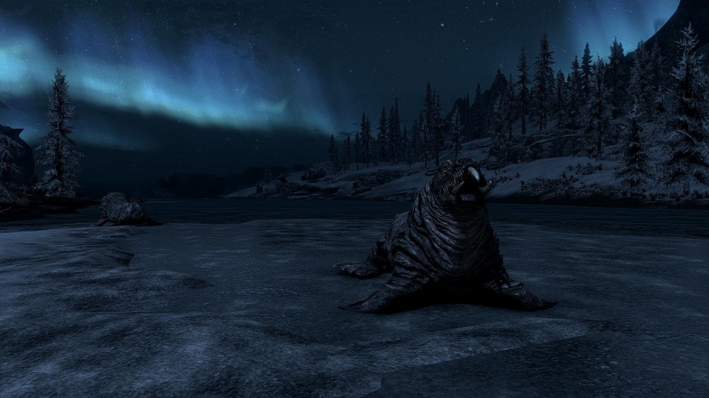 The Elder Scrolls V: Skyrim