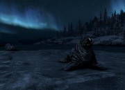 The Elder Scrolls V: Skyrim