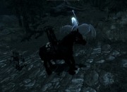 The Elder Scrolls V: Skyrim