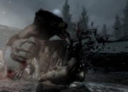 The Elder Scrolls V: Skyrim