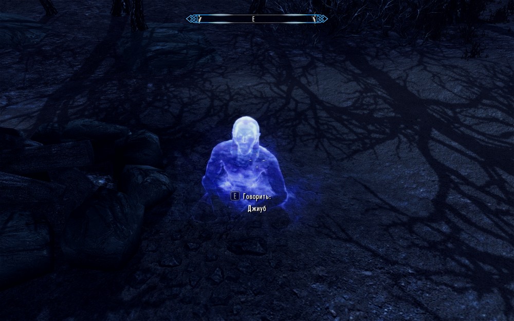 The Elder Scrolls V: Skyrim