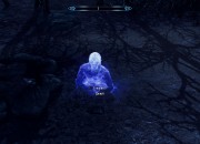 The Elder Scrolls V: Skyrim