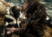 The Elder Scrolls V: Skyrim