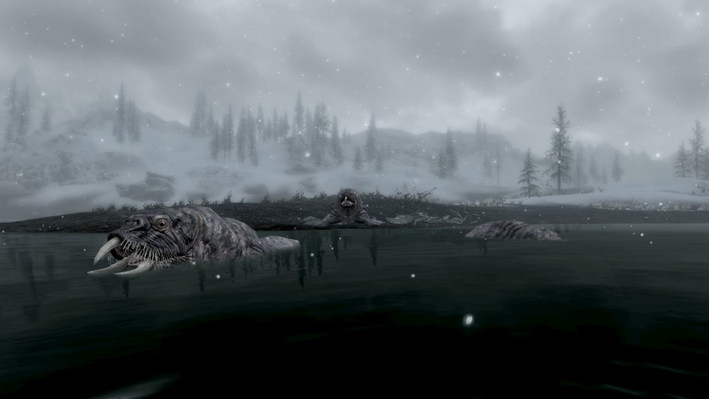 The Elder Scrolls V: Skyrim